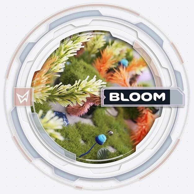 BLOOM